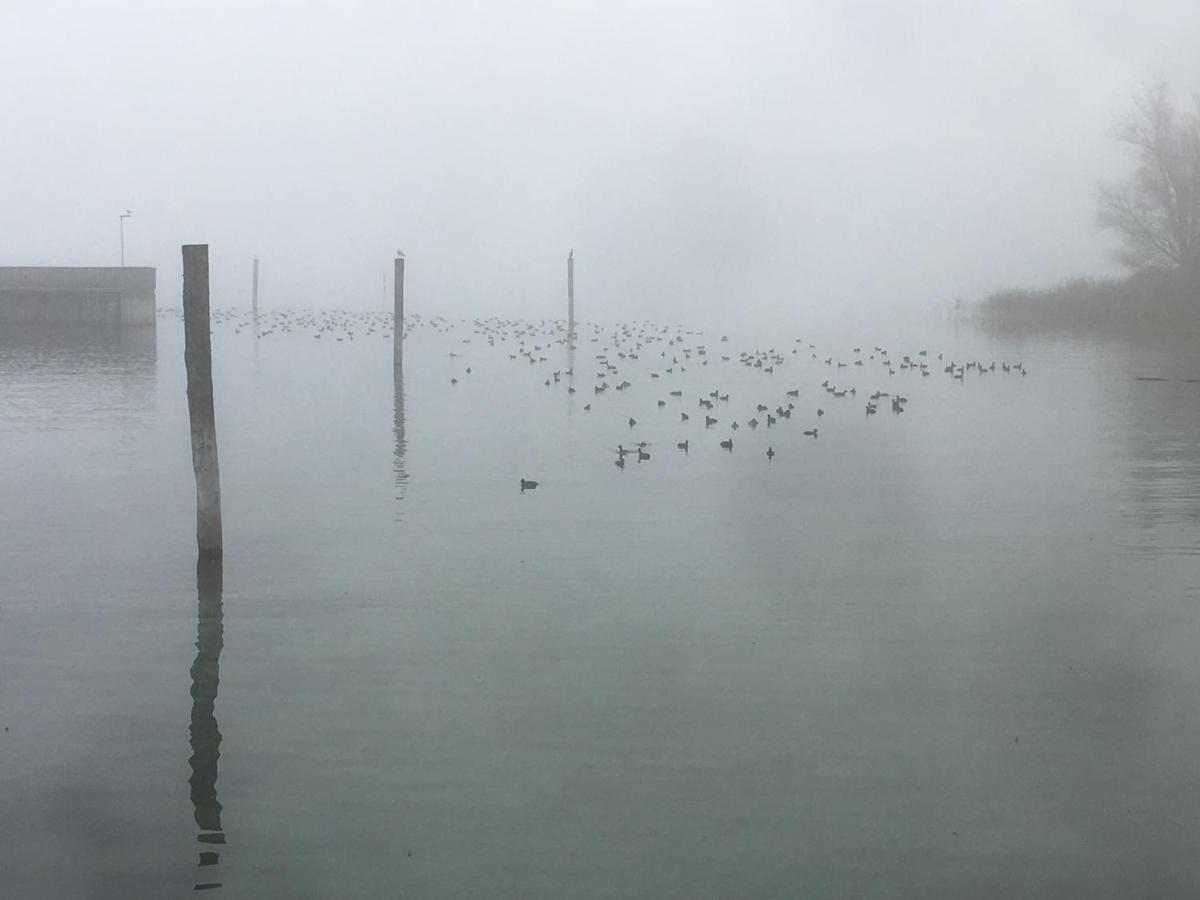 Zwischen Hafen Und Strandbad * Konstanz